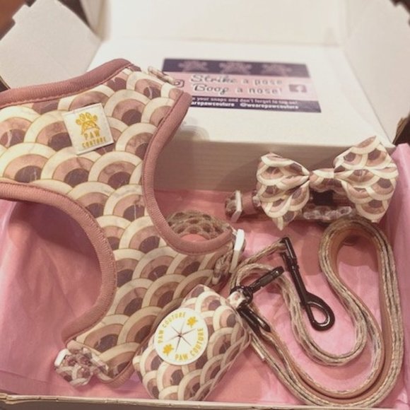 XS pet harness set